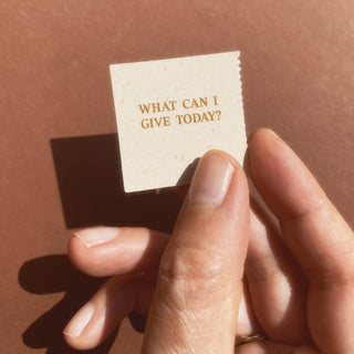 STAY GOLD WILD SOUL - CALENDAR - TIMELESS PLANNER - 5 PIECES